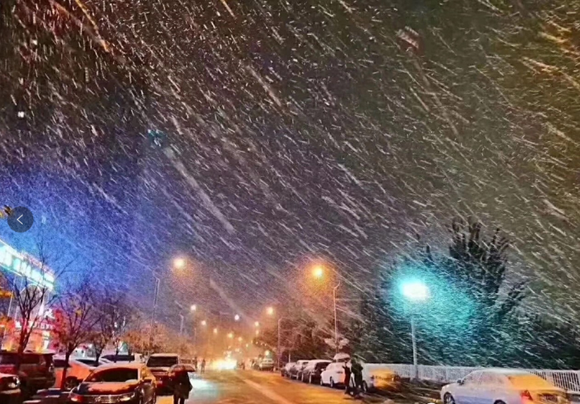 1575449306546819.png 入冬的第一場雪_副本.png