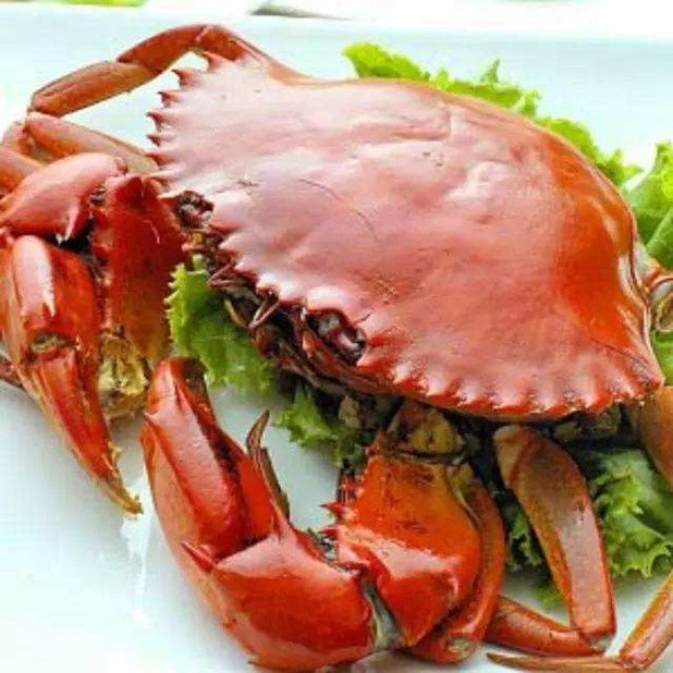 1699261370264462.jpg 微信圖片_20231031153357_副本.jpg